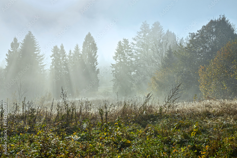 Fototapeta premium Early morning landscape with brume in Skhidnytsia location, Western Ukraine.