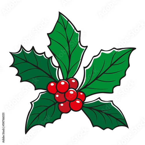 Decorative Christmas foliage plant. Pine, poinsettia, berry branch, spruce and fir, bunch berries, evergreen winter tree, green plant and red holly berry, mistletoe vector illustration.