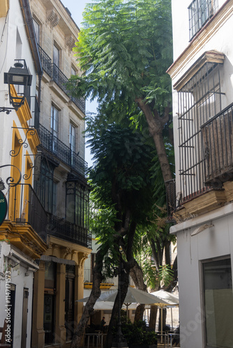 Walking in old part of Jerez de la Frontera, Sherry wine making town, Andalusia, Spain in summer, architectural details, Andalusian style photo