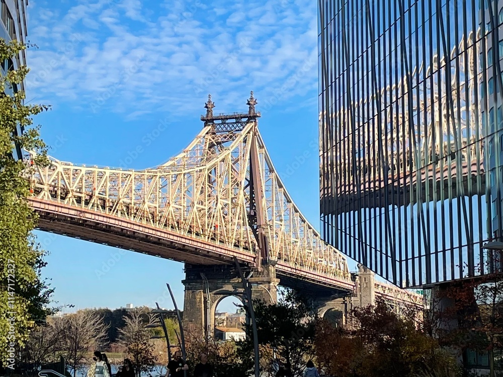 Fototapeta premium Queensboro Bridge Reflection (New York, New York, USA) 