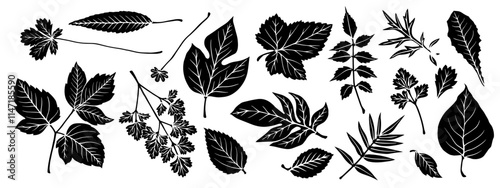Collection of silhouettes, stamps of various leaves. Simple decorative botanical elements. Vector graphics.