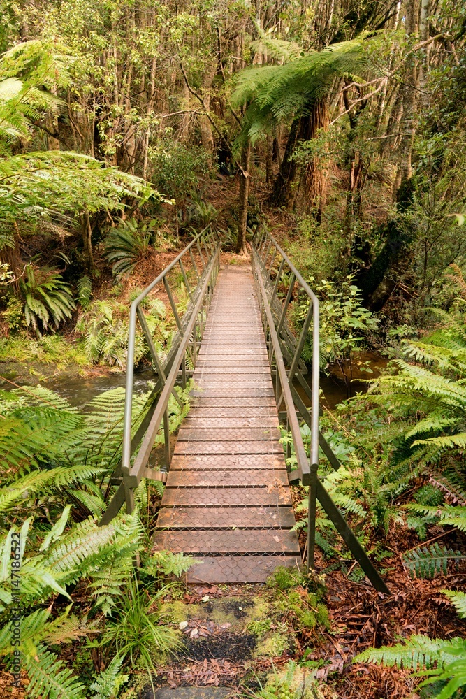 Iron and Wooden Pedestrian Bridge in New Zealand's Wilderness Iron and Wooden Pedestrian Bridge in New Zealand's Wilderness