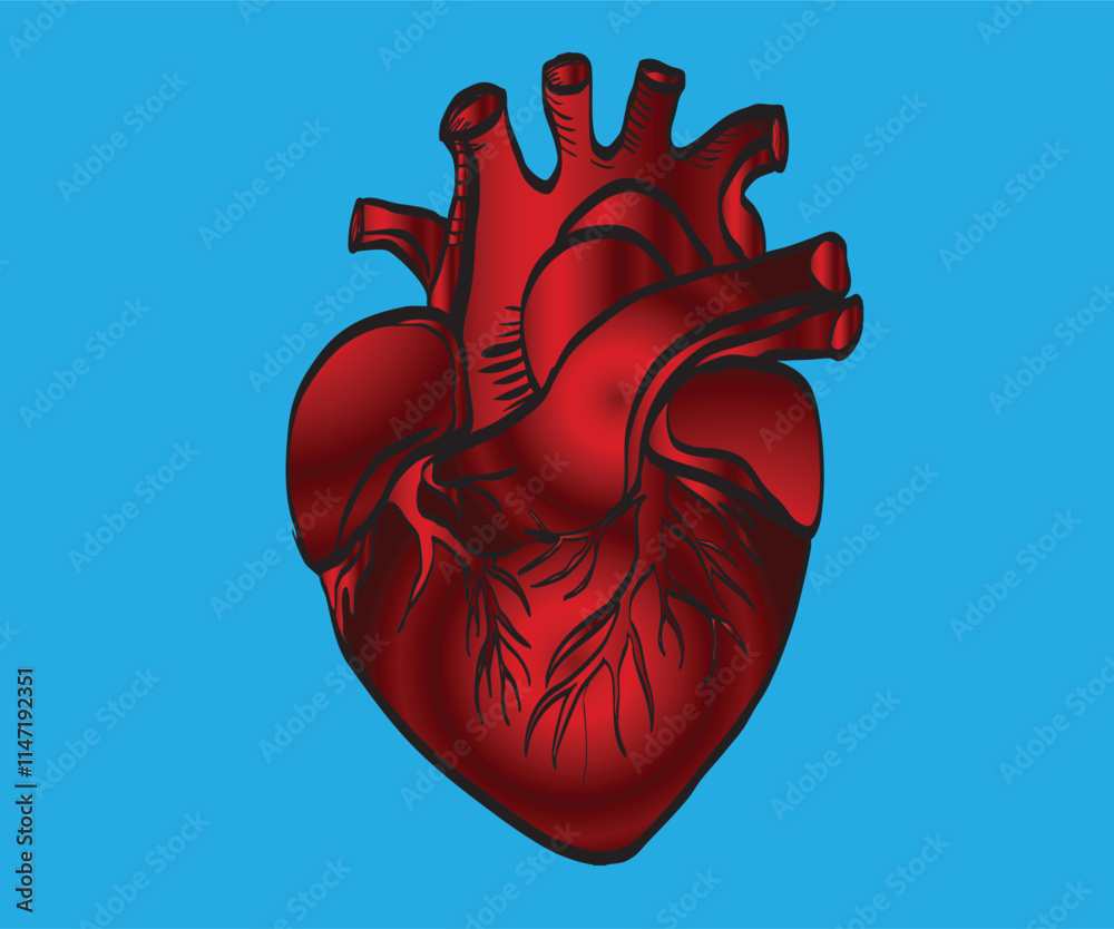 Realistic red human heart beating on dark background Realistic red human heart beating on dark background