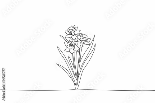 Continuous one line drawing three stalks of daffodil flowers. Trying to breed. Medical plants. The kindness of many people. Antioxidant plant. Daffodil Day. Single line draw design vector illustration