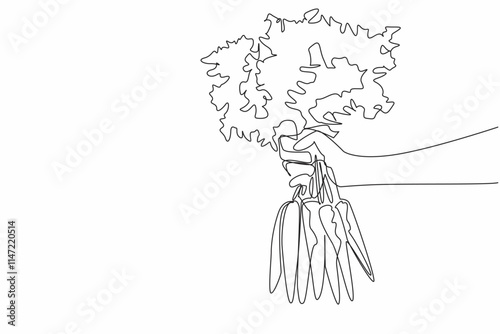 Single one line drawing hand holding several carrots with very thick leaf tips. Carrot farmers get the desired results. Healthy. International Carrot Day. Continuous line design graphic illustration
