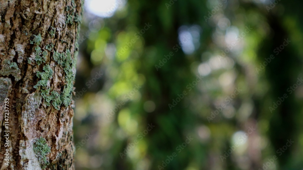 The texture of the tree appears to be on the edge and in the empty space. The texture of the tree appears to be on the edge and in the empty space.