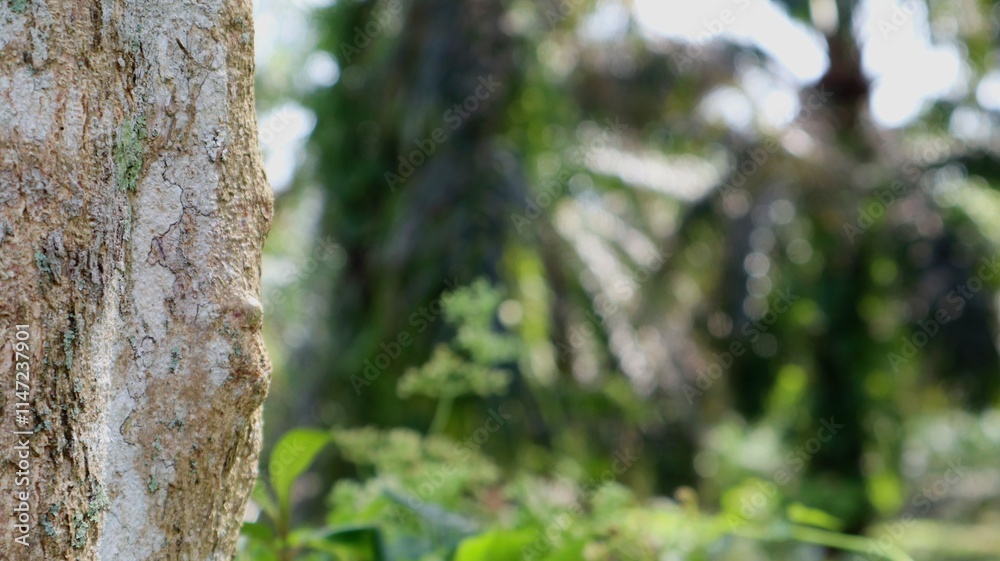 The texture of the tree appears to be on the edge and in the empty space. The texture of the tree appears to be on the edge and in the empty space.