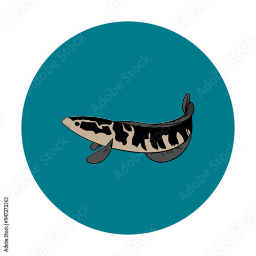 chana fish icon, vectors illustration