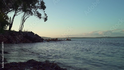 Pelican's looking at sunset in Nelson Bay in Australia