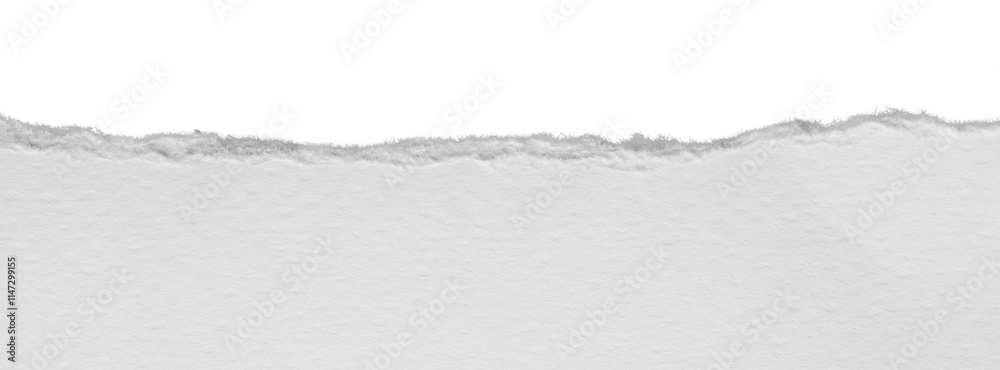 torn blank pages with uneven texture edges. set of ripped white paper sheets png isolated on transparent background. document or newspaper mockup. torn blank pages with uneven texture edges. set of ripped white paper sheets png isolated on transparent background. document or newspaper mockup.