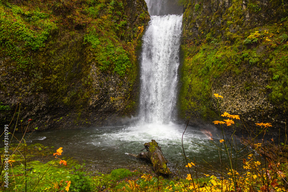 Fototapeta premium Autumn at Lower Multnomah Falls