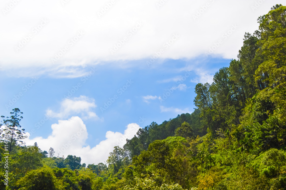 Obraz premium Amazing Ella Rock with Lush Green Mountains, Majestic Waterfalls, and the Stunning Natural Beauty of Paradise in Sri Lanka