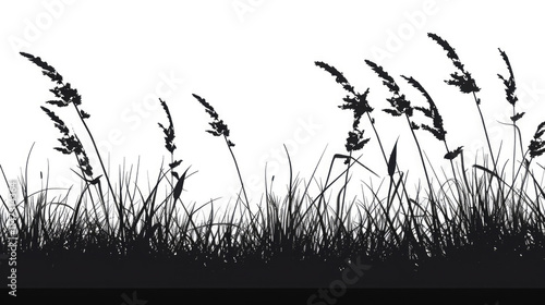 grass silhouette vector illustration