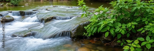 Vibrant waterfall cascading down a lush forest, zen, motion, cascade