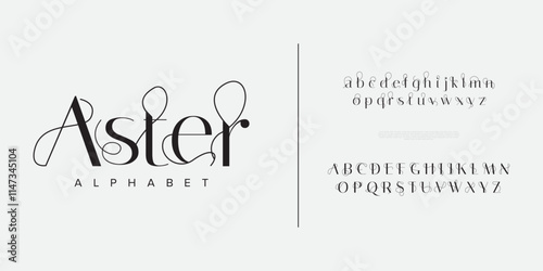Aster typography beauty fashion elegant minimalist serif italic fonts decorative wedding vintage retro logos. Minimal luxury font alphabet logo. Vector illustration