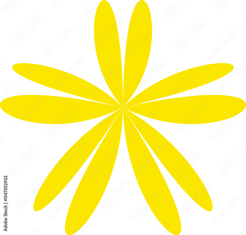 yellow flower on white background yellow flower on white background