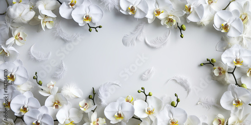 White Orchids Feathers Frame Floral Spa Peace Purity