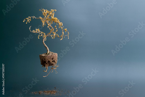 dead tree over the ground