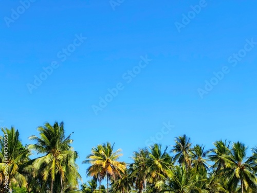 Wallpaper Mural Tropical Paradise: A serene landscape with tall palm trees swaying gently against a backdrop of a vibrant blue sky, evoking a sense of tranquility and escape.  Torontodigital.ca