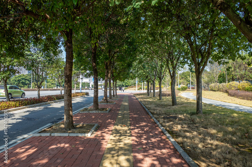 Tree-lined urban pathway with red brick paving in a modern city. A pedestrian and bicycle path shaded by mature trees creating a natural canopy.Dappled sunlight filters through the green leaves