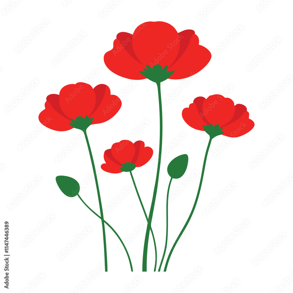 Fototapeta premium poppies on white