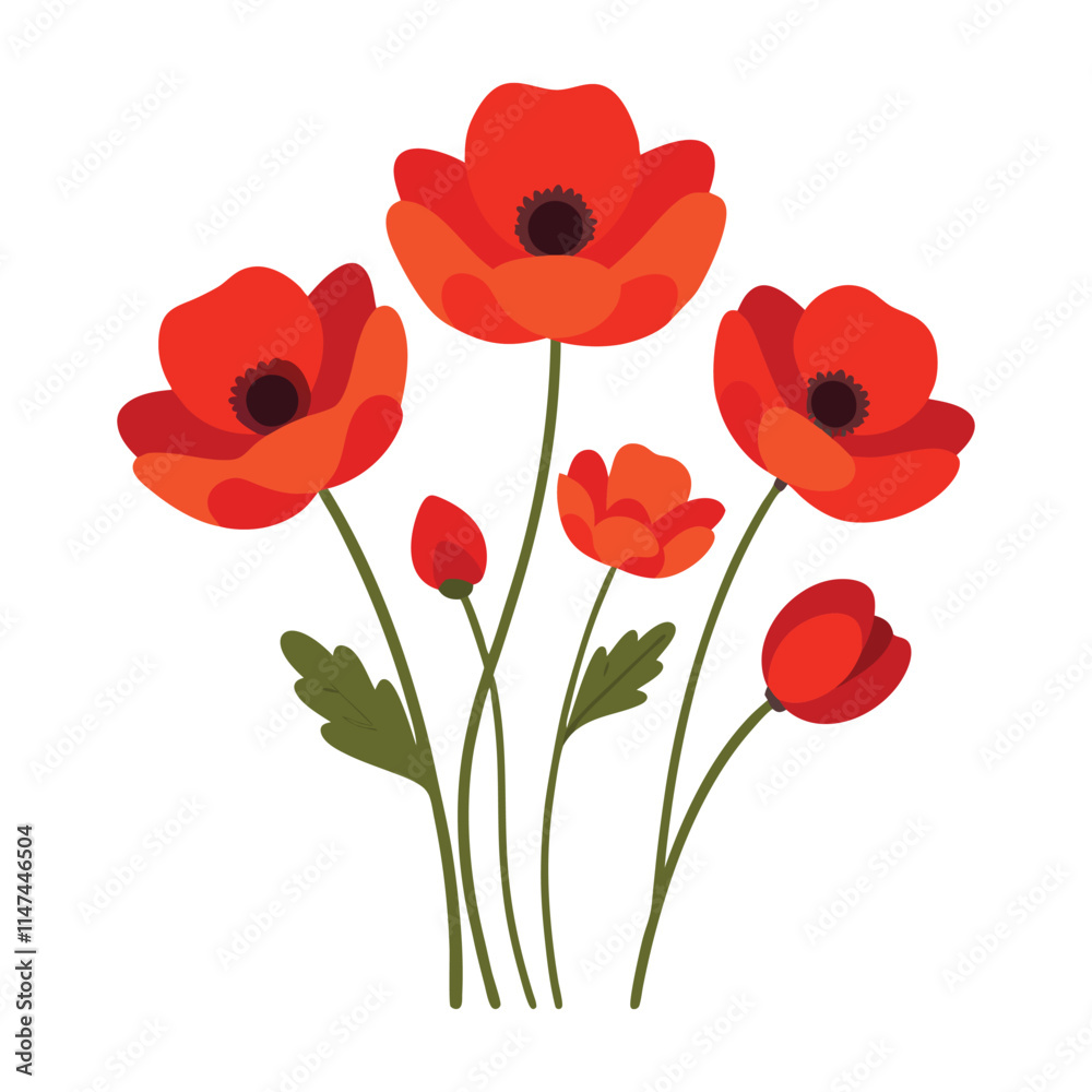 Fototapeta premium red poppies on white background