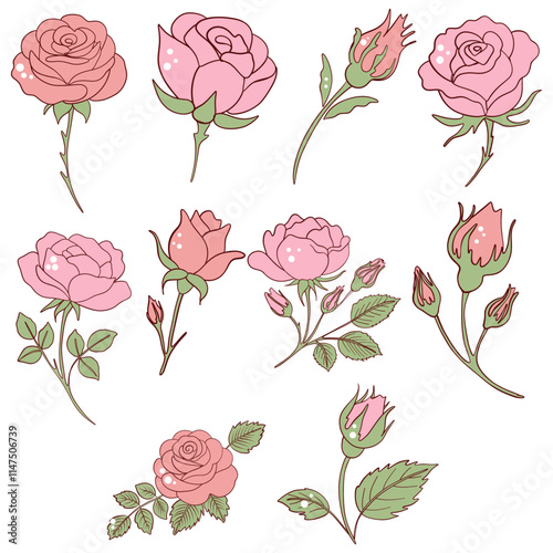 Pink Rose and Bud Botanical Illustrations Set