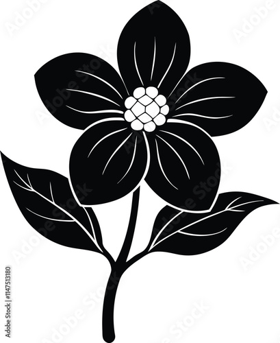An image of dogwood vector