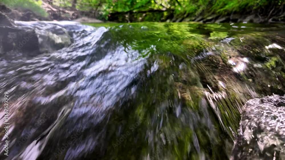 woda las przyroda natura woda las przyroda natura