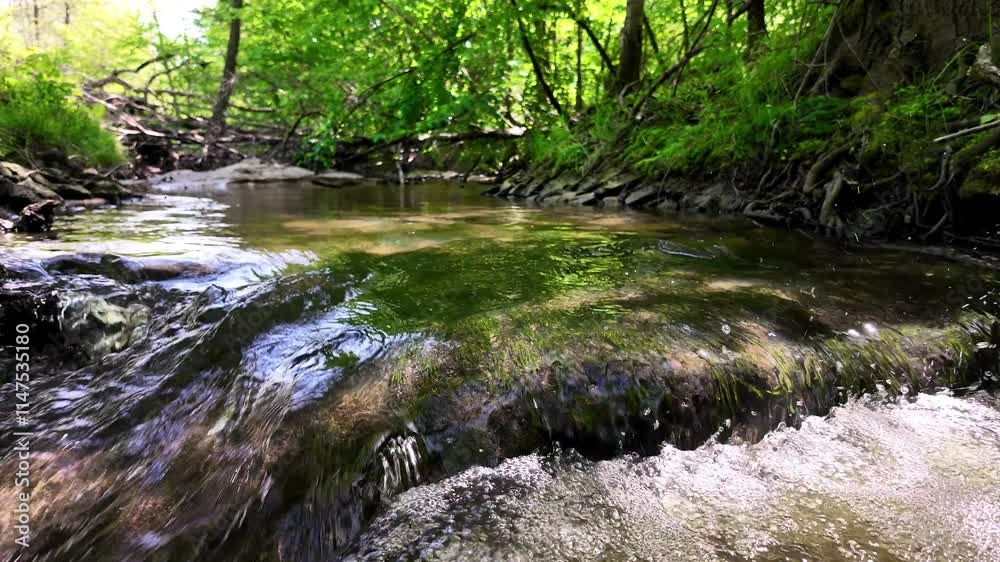 woda las przyroda natura woda las przyroda natura