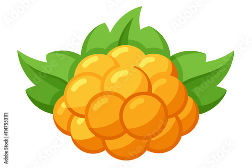 Minimalist Cloudberry Line Color Drawing