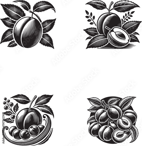 Artistic Plum Silhouettes Collection - Black and White Vector Designs