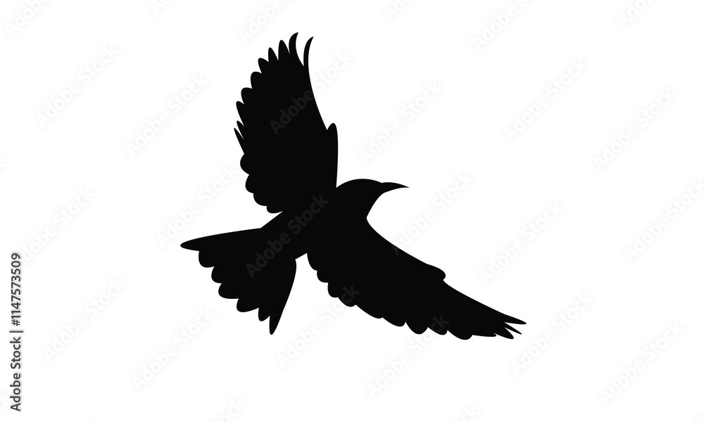 Obraz premium Flying Roller Bird Silhouette Design And Vector Illustration. 