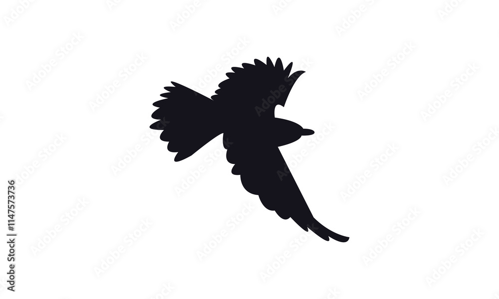 Fototapeta premium Flying Roller Bird Silhouette Design And Vector Illustration. 