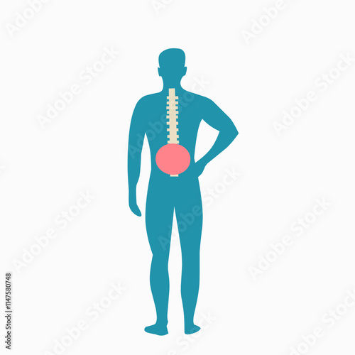 Vector illustration of a human silhouette highlighting the spine and lower back area in vibrant colors, representing back pain, medical concepts, or anatomy studies