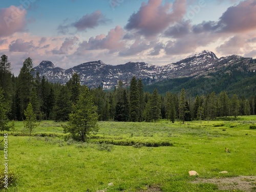 The Absaroka Mountain Range in Yellowstone National Park Wyoming. photo