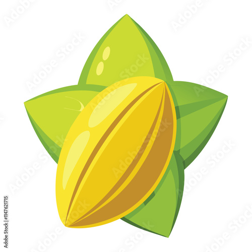 star fruit carambola vector illustration on a white background
