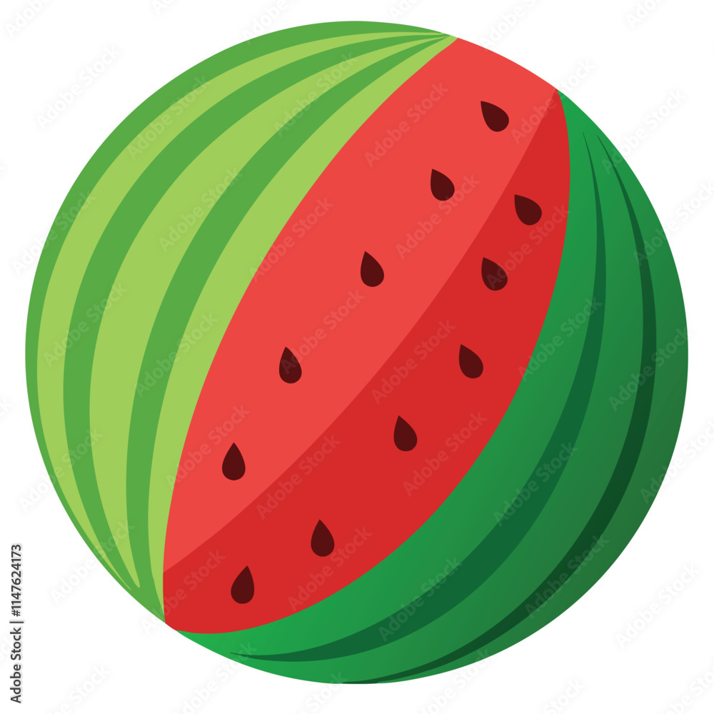 watermelon vector illustration on a white background watermelon vector illustration on a white background