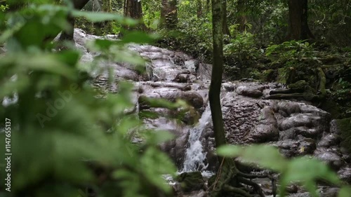 Moving to reveal beautiful cascade with water flowing from the mountain in rainforest. Hidden waterfall surrounded by green plants in the wild. Phang Nga Province. Thailand.