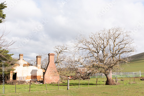 abandoned rural brick farm house with chimneys and old tree photo