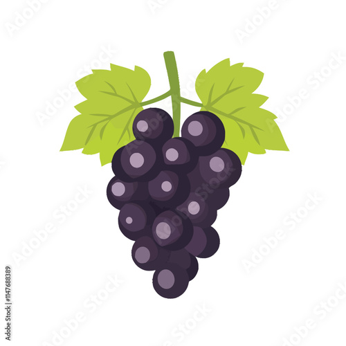 Fresh Grapes on Wine Vector Illustration