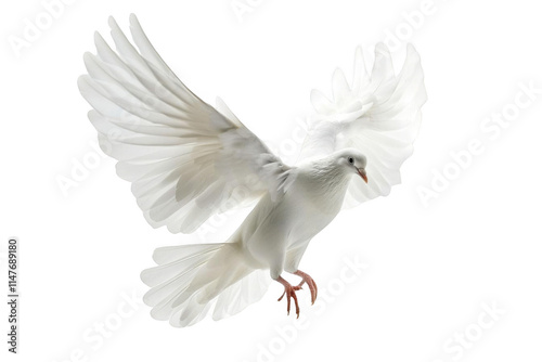 White Dove Flies Gracefully with Wings Spread on Dark Background, Freedom Concept.
