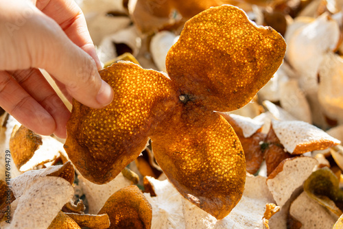Xinhui dried tangerine peel from Jiangmen, Guangdong, China