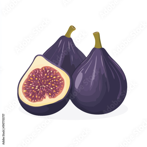Fresh Fig Vector Illustration on White Background