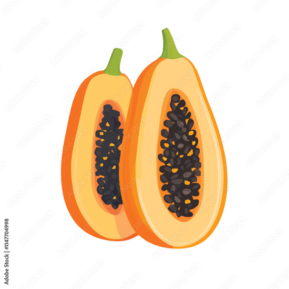 Fresh Papaya Vector Illustration on White Background Fresh Papaya Vector Illustration on White Background