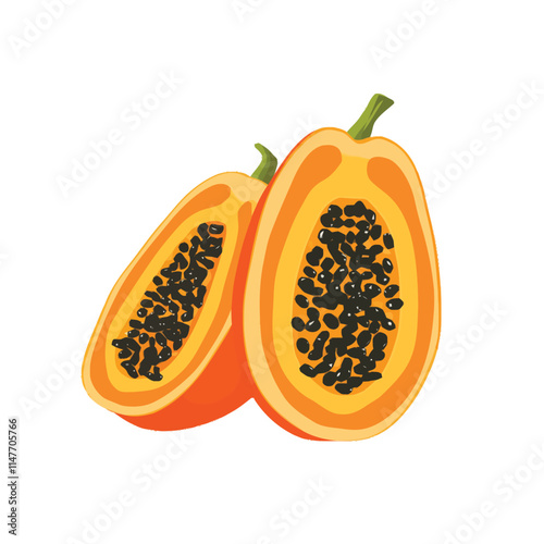 Fresh Papaya Vector Illustration on White Background