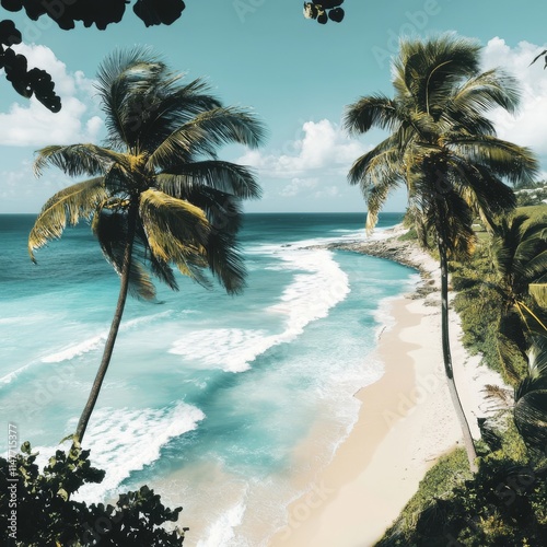 Beach, Barbados, Lesser Antilles, Caribbean, North America.
