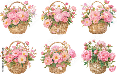 peony basket watercolor clipart 