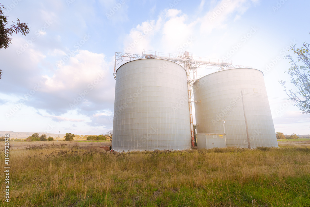 Two large bulk grain silos on the outskirts of Coolah, NSW Two large bulk grain silos on the outskirts of Coolah, NSW