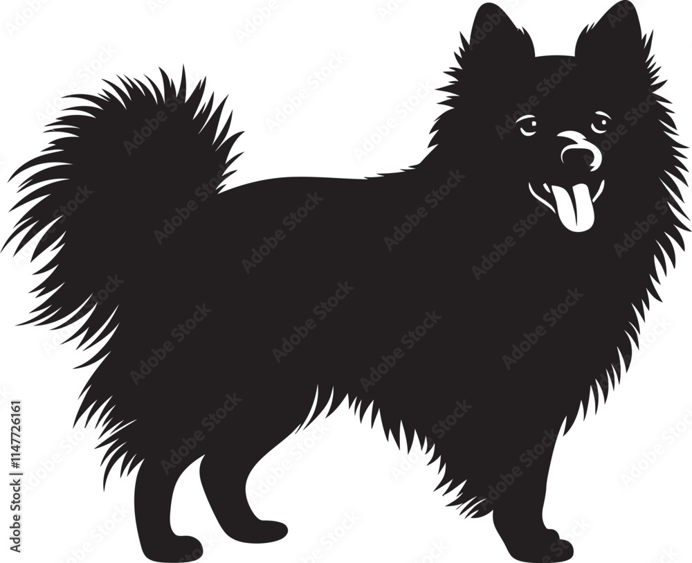 Obraz premium American Eskimo Dog Silhouette Vector Illustration White Background